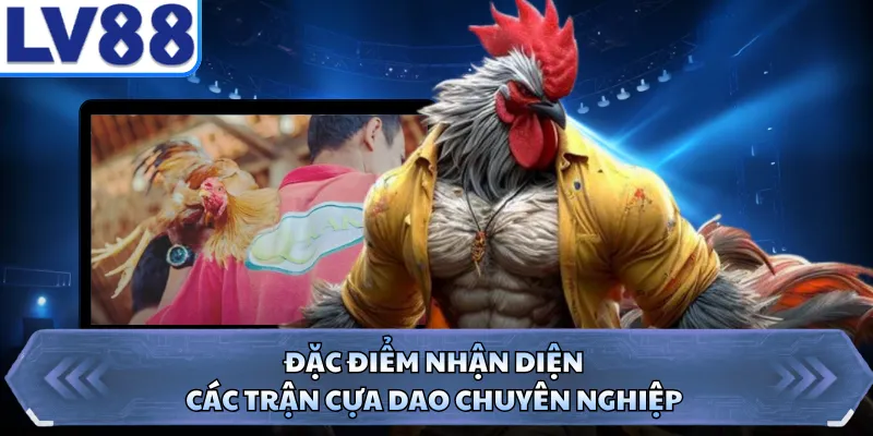 Đặc điểm nhận diện các trận cựa dao chuyên nghiệp