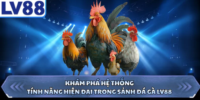 Khám phá hệ thống tính năng hiện đại trong sảnh đá gà LV88