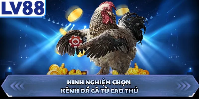 Kinh nghiệm chọn kênh đá gà từ cao thủ