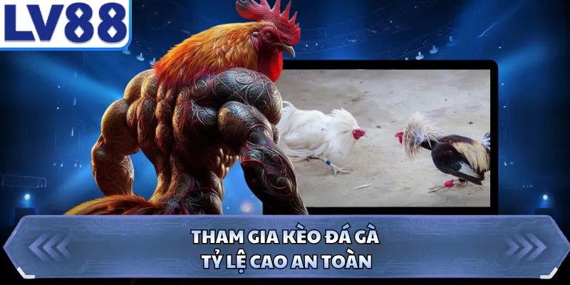 Tham gia kèo đá gà tỷ lệ cao an toàn